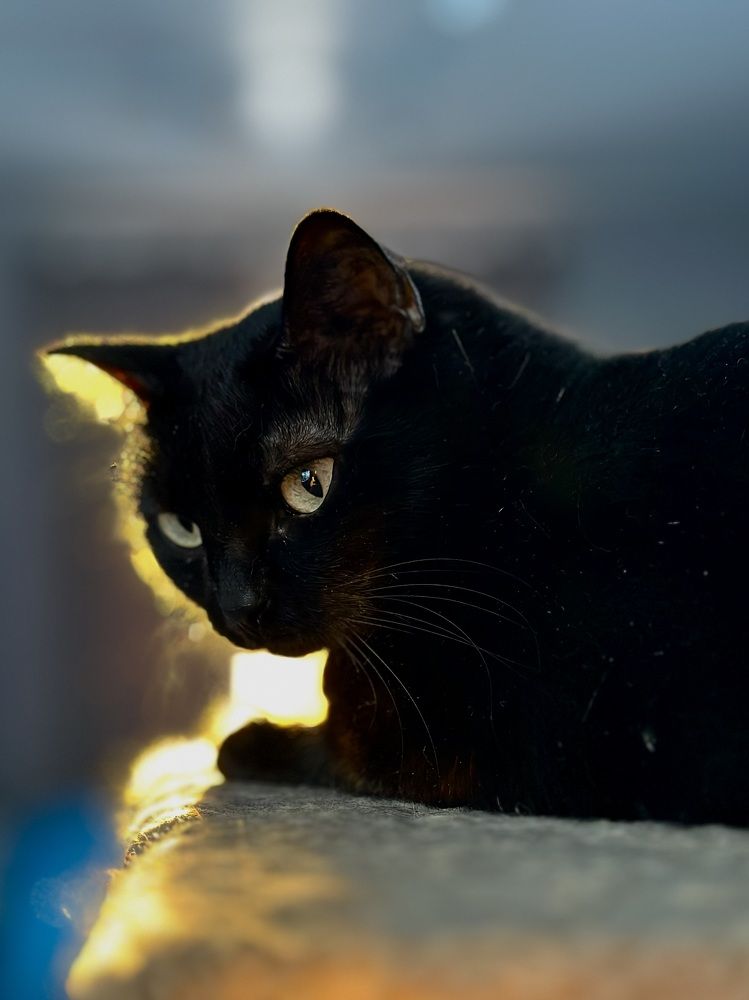 Photograph by Анастасия Конина