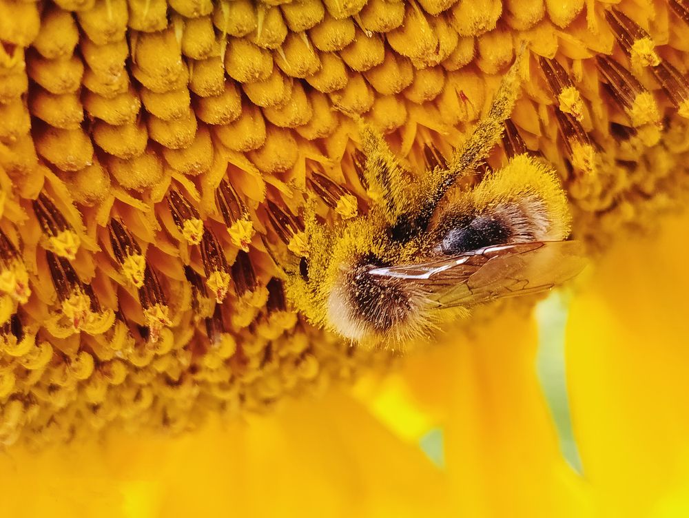 Photograph by Ксения Малютина