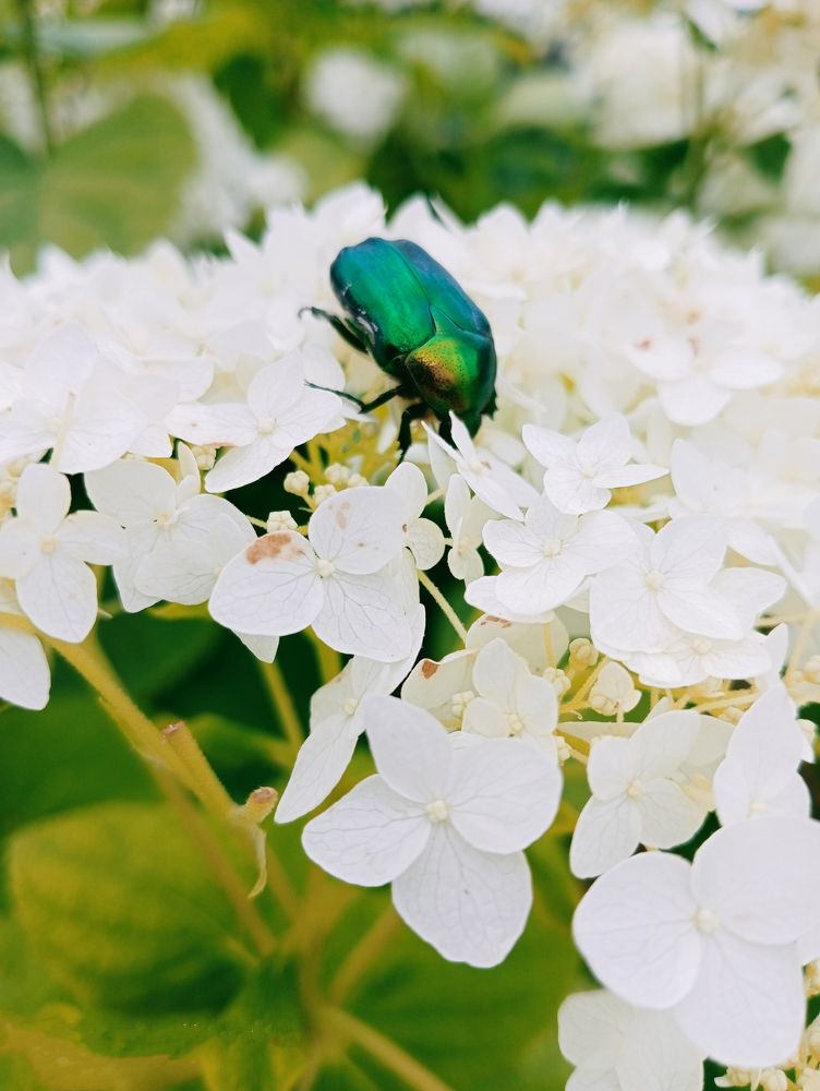 Photograph by Ксения Малютина