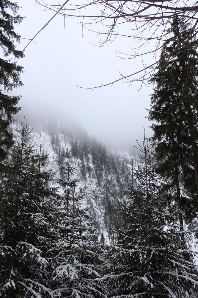 Photograph by Catalina Sirbu