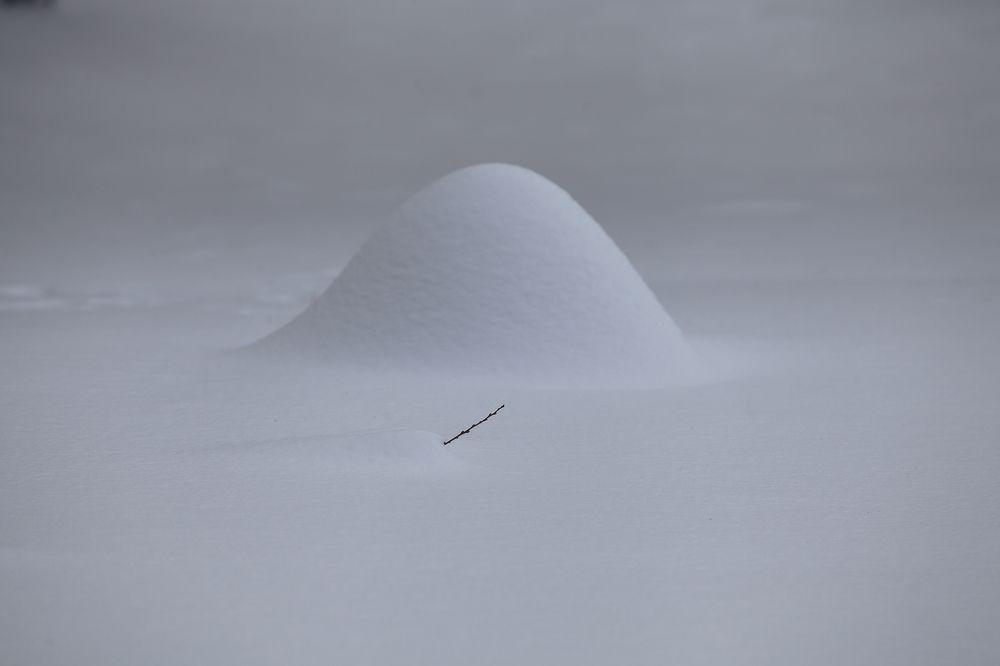 Photograph by Maksim Malkin