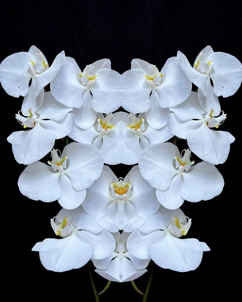 Photograph by Irina Kolotova