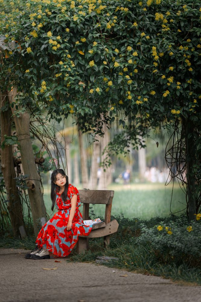 Photograph by Lưu Phúc