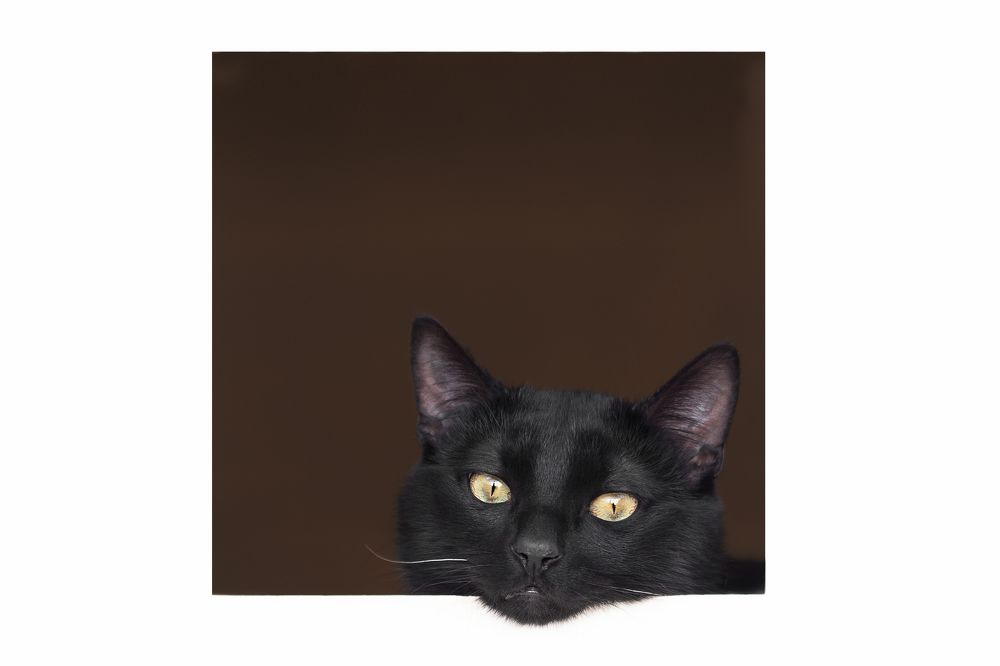 Esperando a mi familia