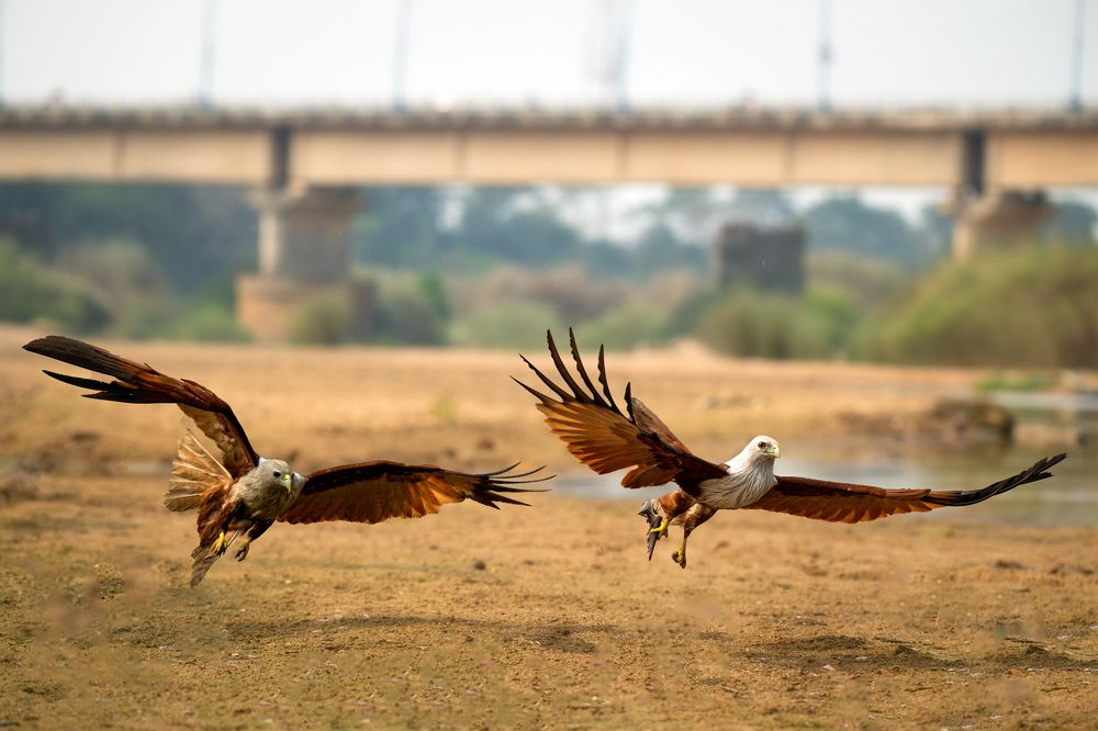 Photograph by Sharad Mansharamani
