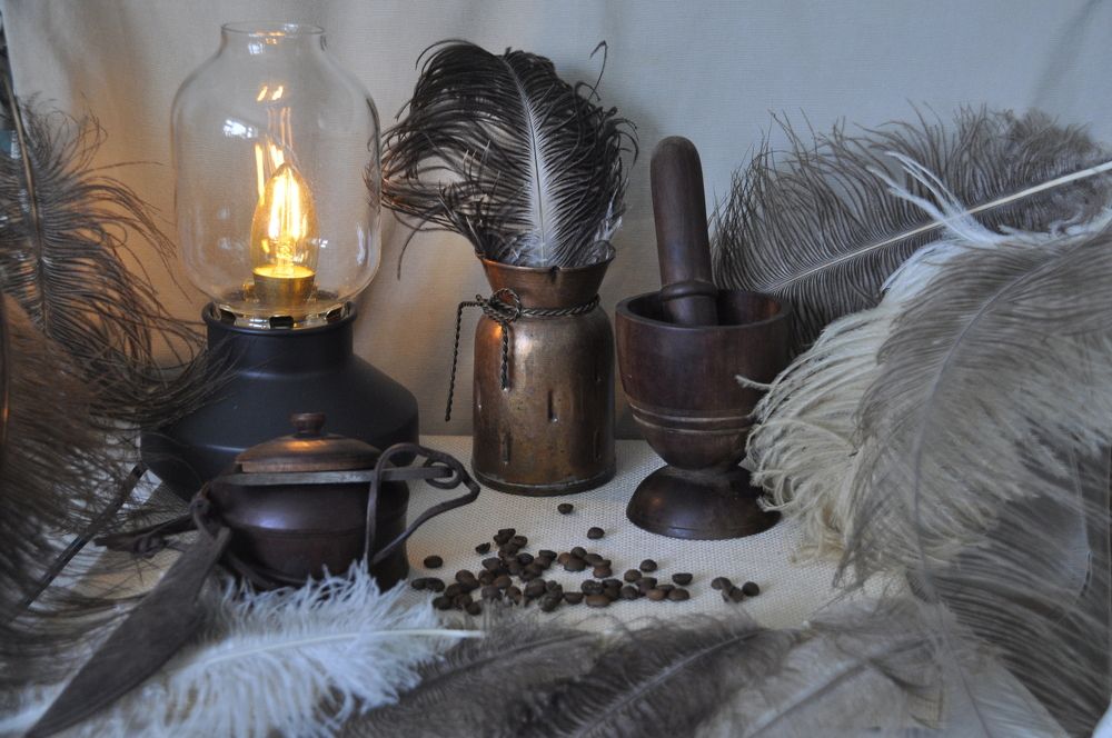 Фотография автора Инна Миронова