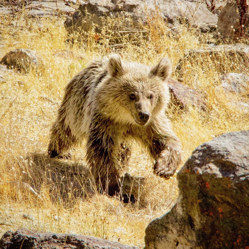 Photograph by Ahmet Aka