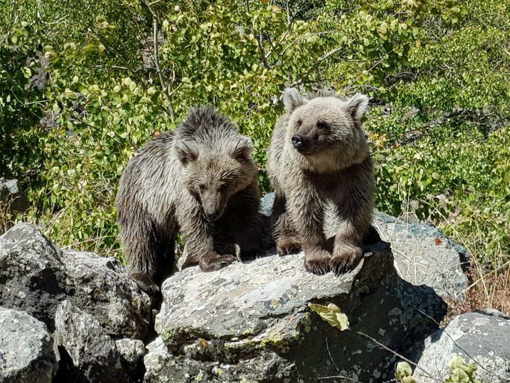 Photograph by Ahmet Aka