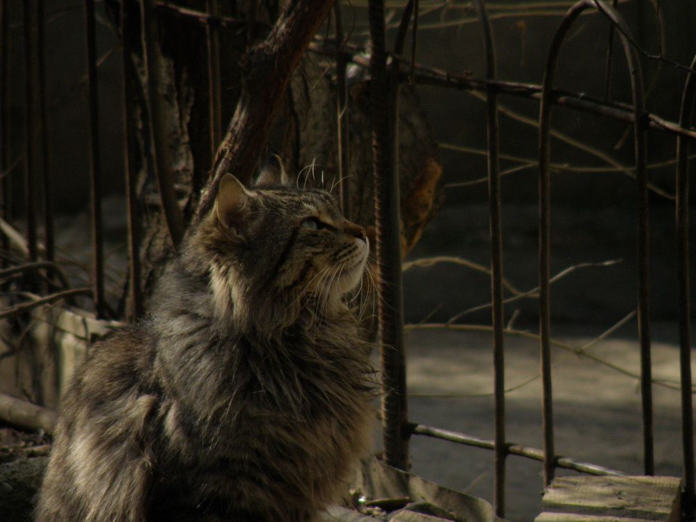 Photograph by Константин