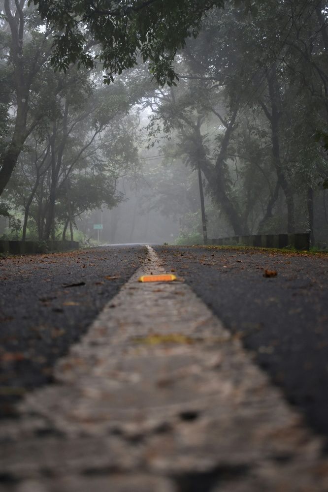 Photograph by Aswin Suresh