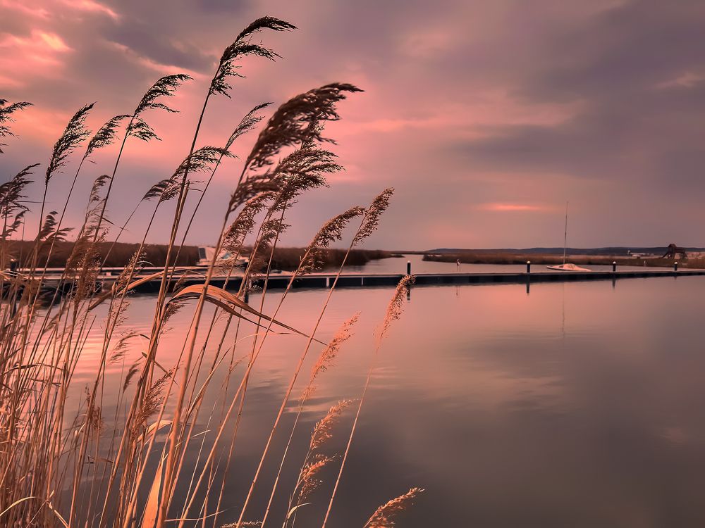 Фотография автора Nomin Jerabek