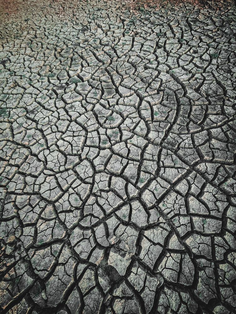 Photograph by Arun Prakash