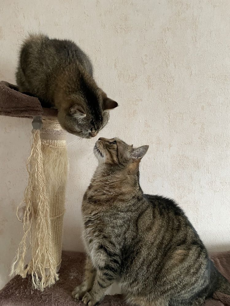 Photograph by Марина Дикманн