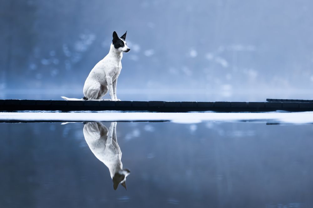 Photograph by Dshamilja