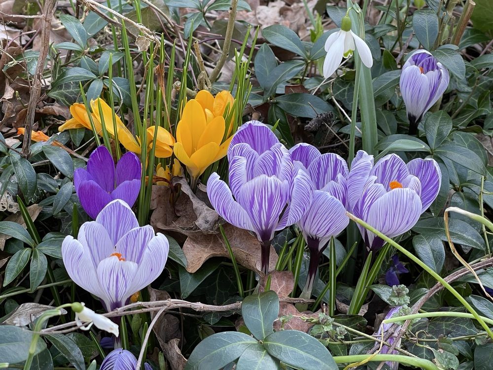 Photograph by Марина Дикманн