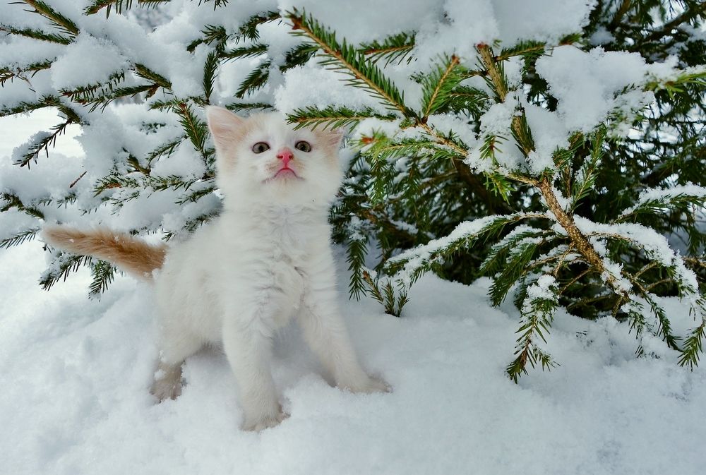 Photograph by Виктор Решетников