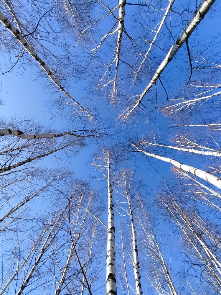 Photograph by Галина Махонь