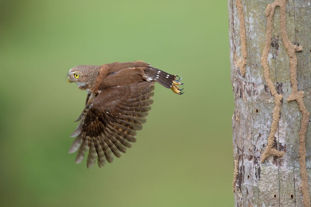 Photograph by Sreejith Sreedharan