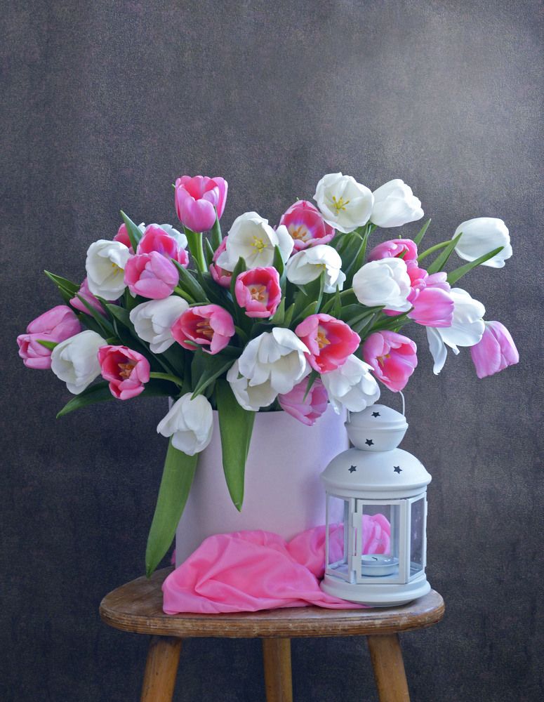 Нежное утро