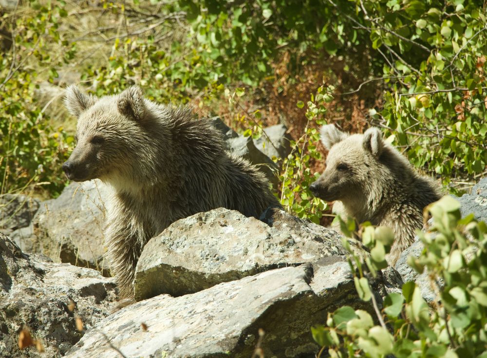 Photograph by Ahmet Aka