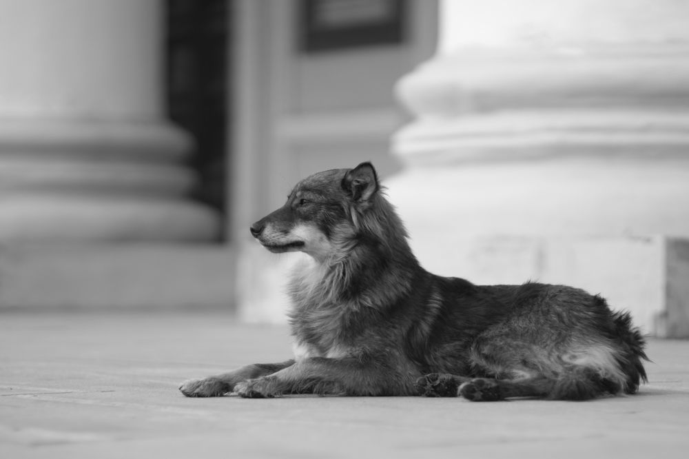Фотография автора Сергей Затямин