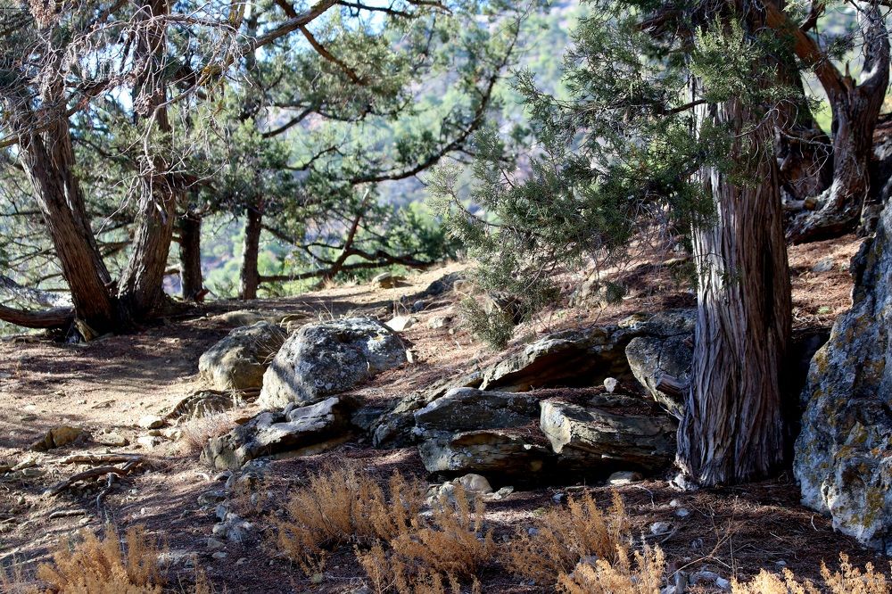 Photograph by Андрей Хитрун