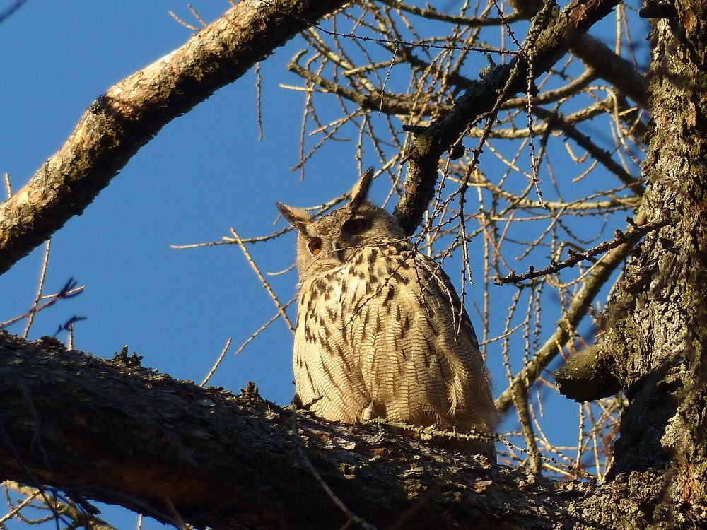 Photograph by Георгий Салюков