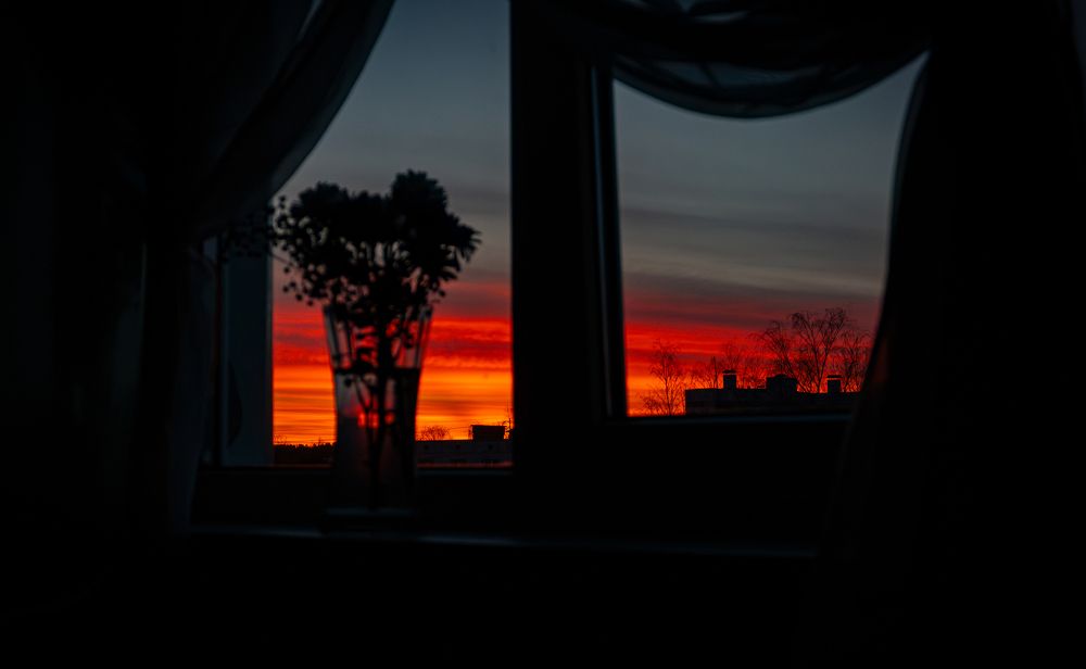 Photograph by Evgeny Ilyin