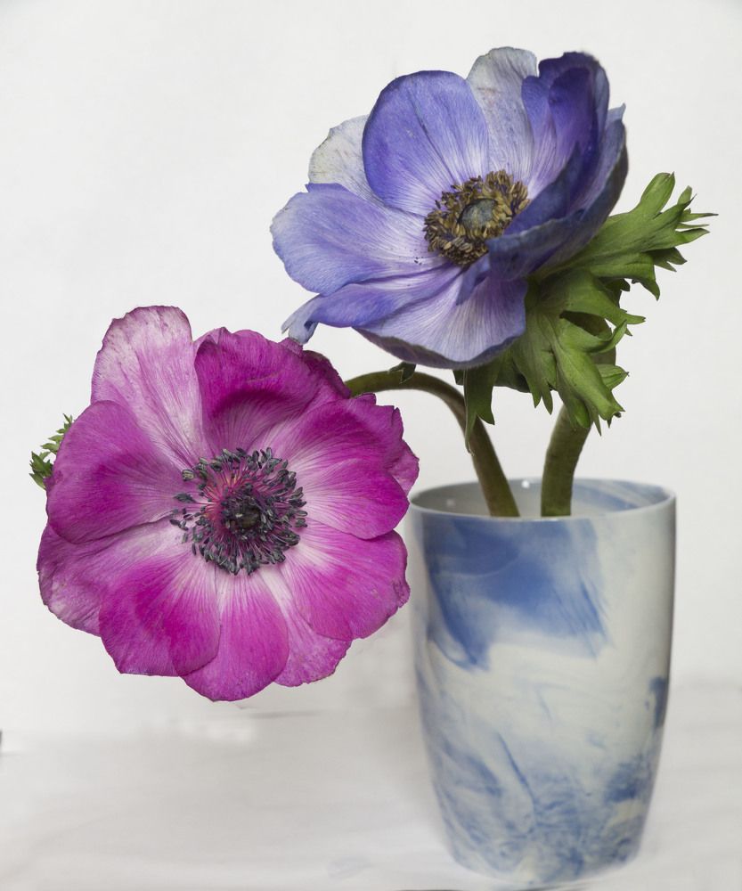 Photograph by Аlessandro