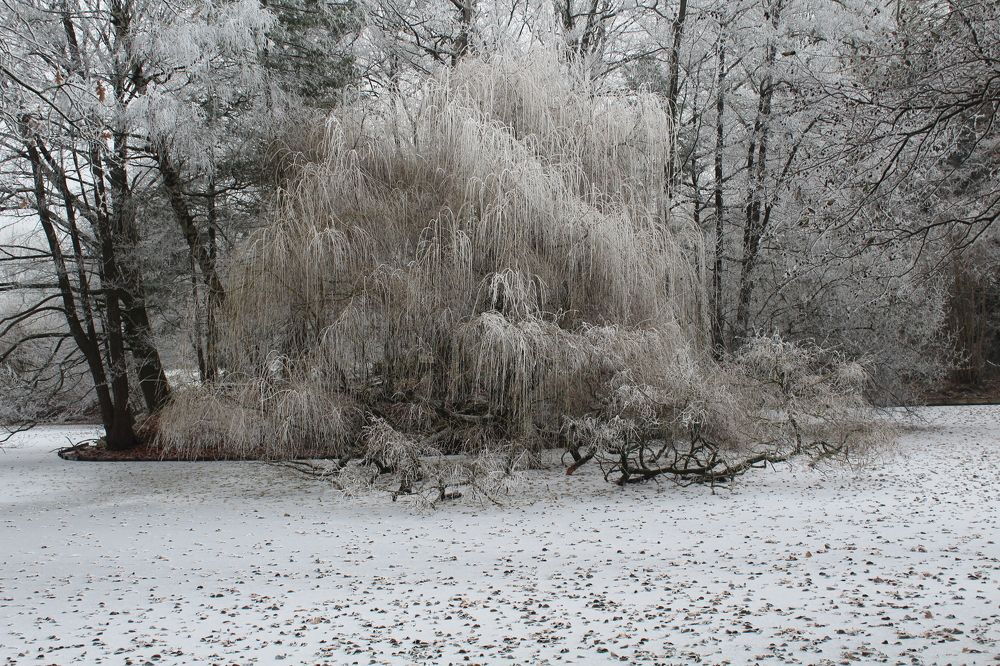 Photograph by Viktor Dikmann