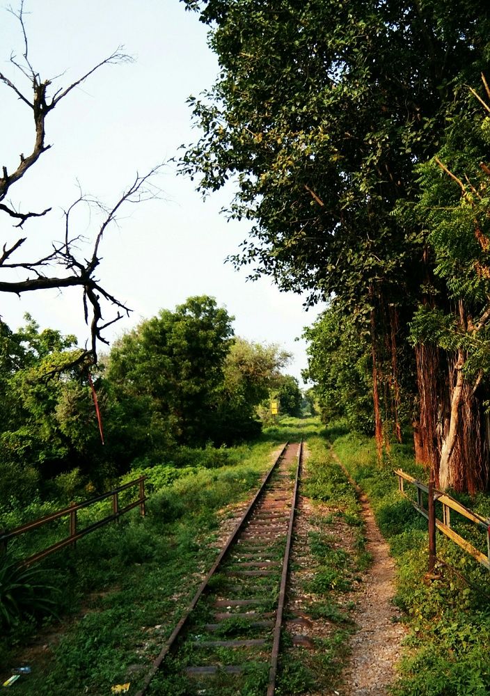 Photograph by Syed Sadiya