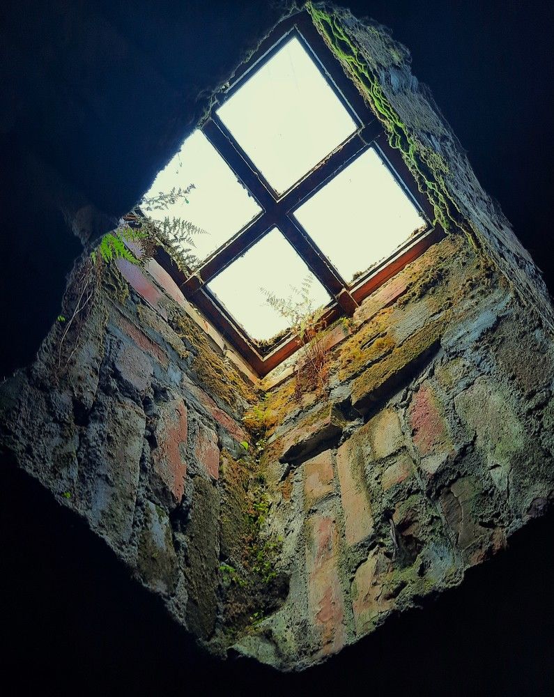 Фотография автора Елена Пикатова