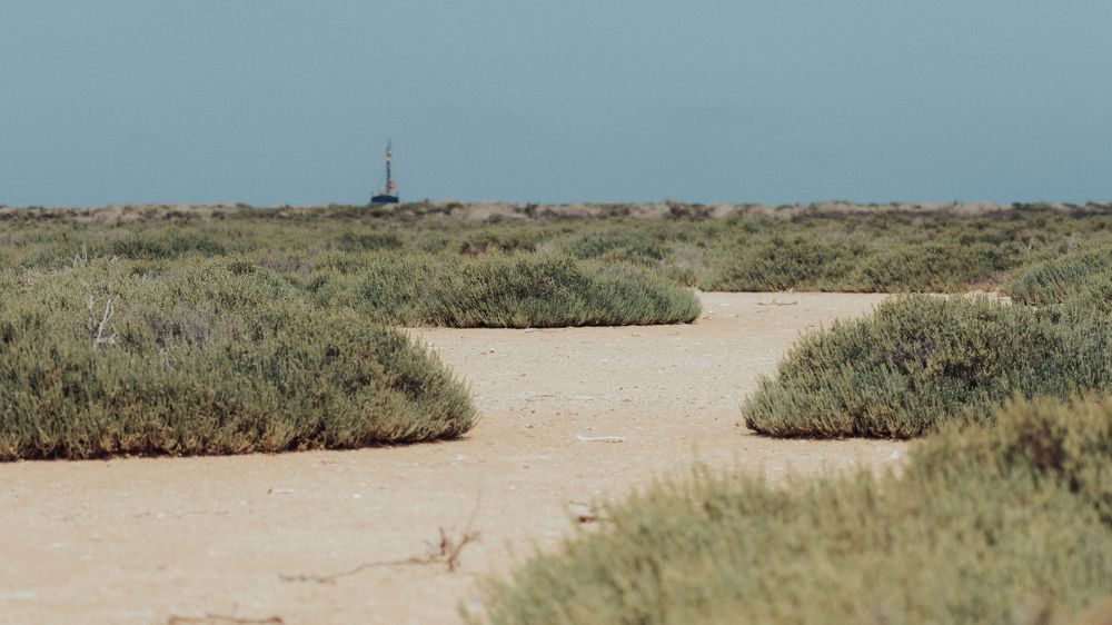 Photograph by Mazen Abdennadher