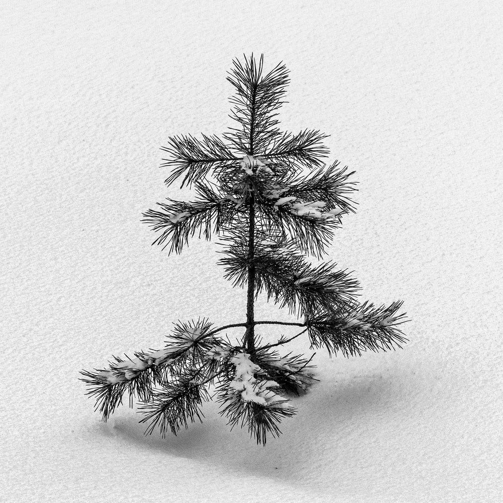 Photograph by Валерий Петухов