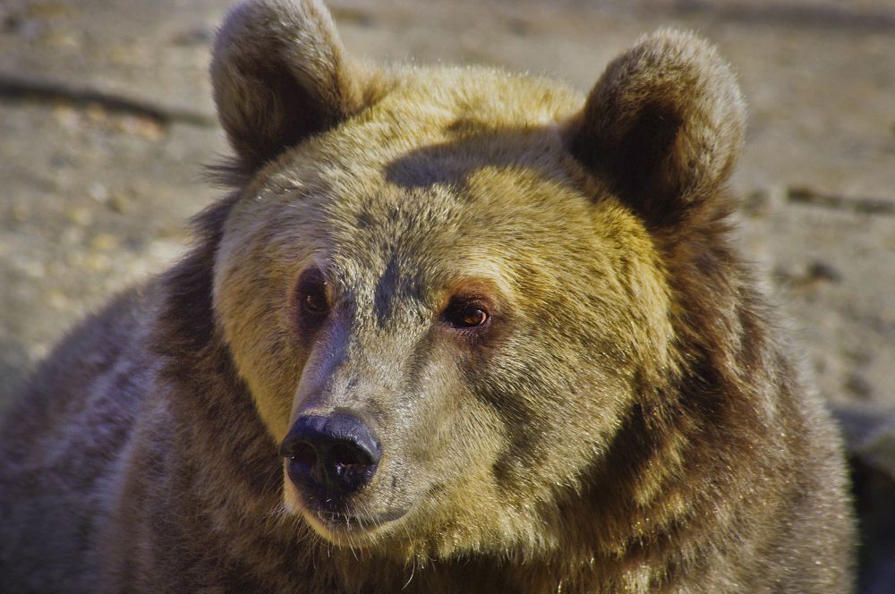 Photograph by Анвар Сейфуллин