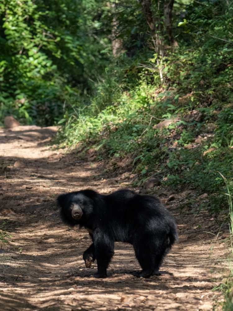 Photograph by Ashwani kasid