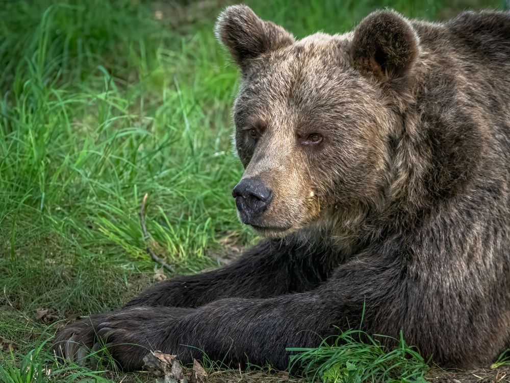 Photograph by Erik Nelson