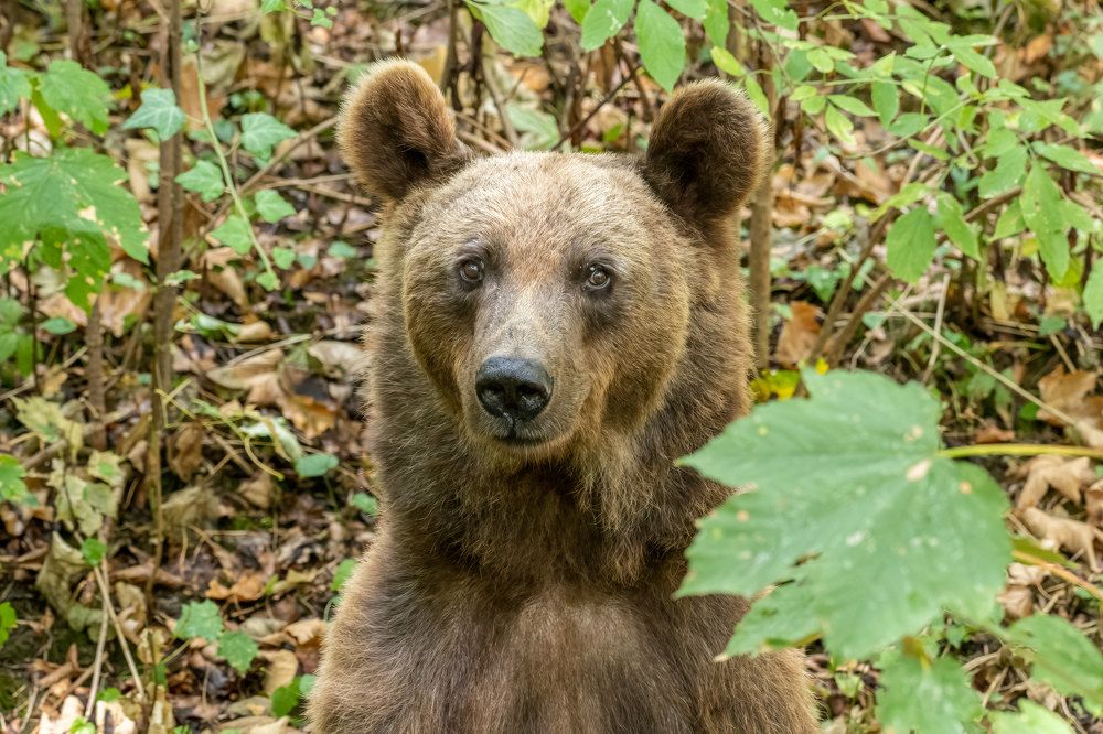 Фотография автора Erik Nelson