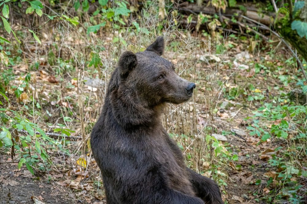 Фотография автора Erik Nelson