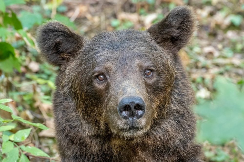 Photograph by Erik Nelson