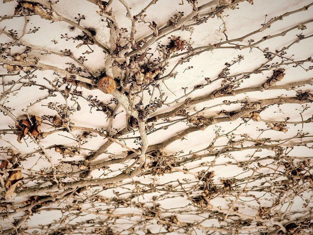 Photograph by Евгений Фесенко