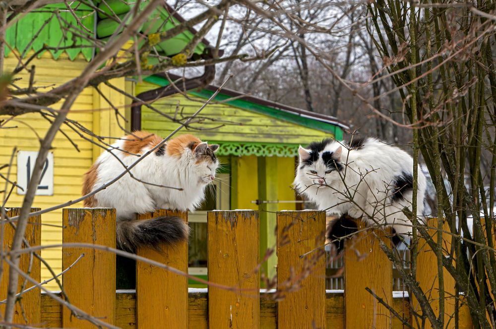 Потепление