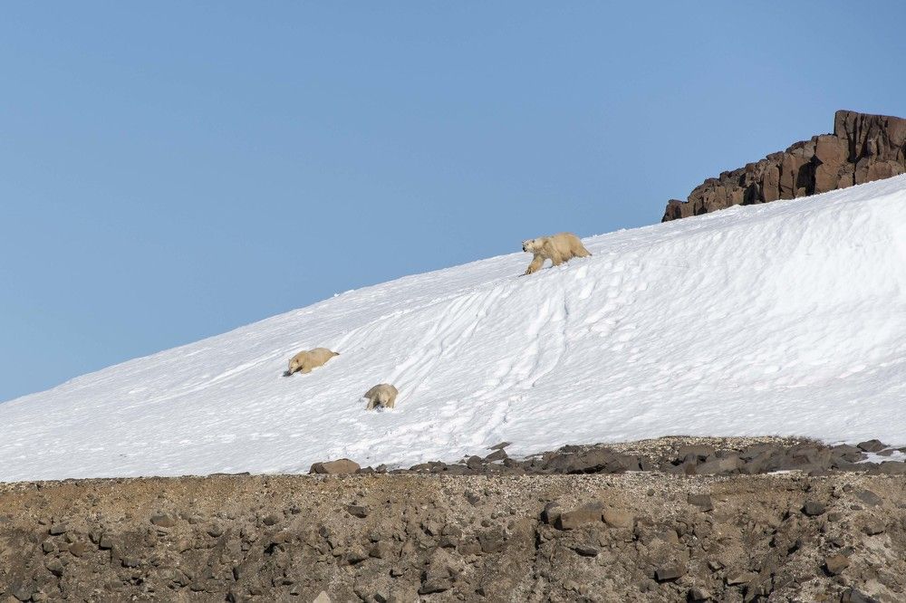 Photograph by Ованес Агарян