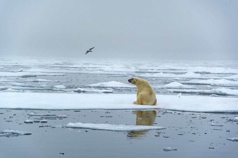 Photograph by Ованес Агарян