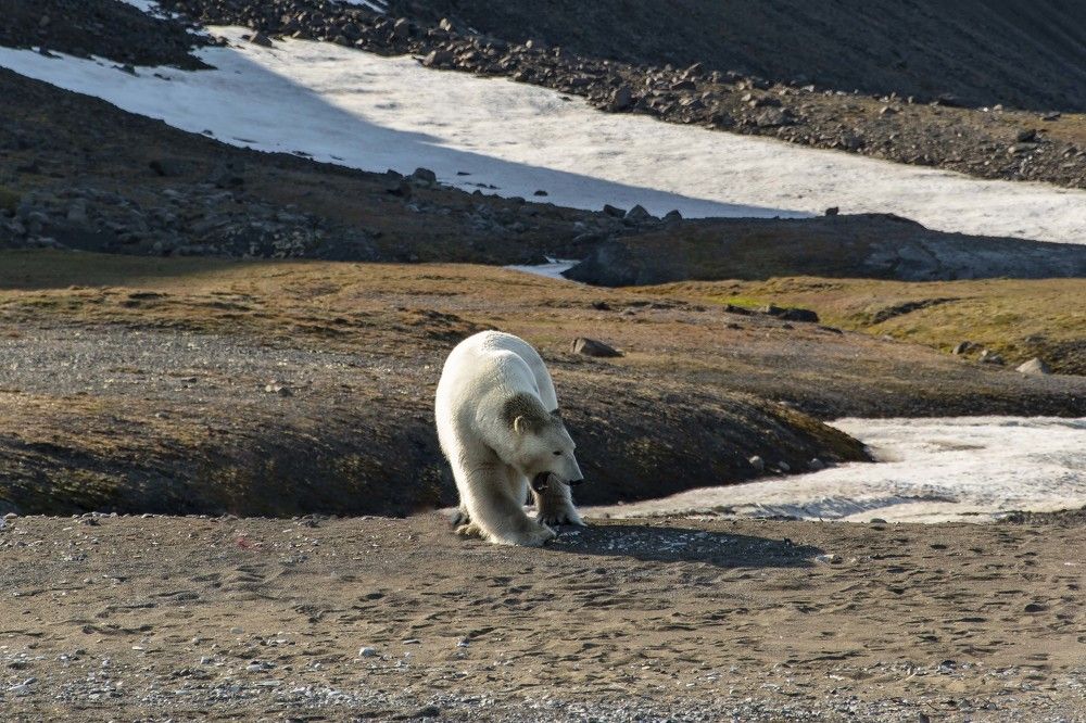 Photograph by Ованес Агарян