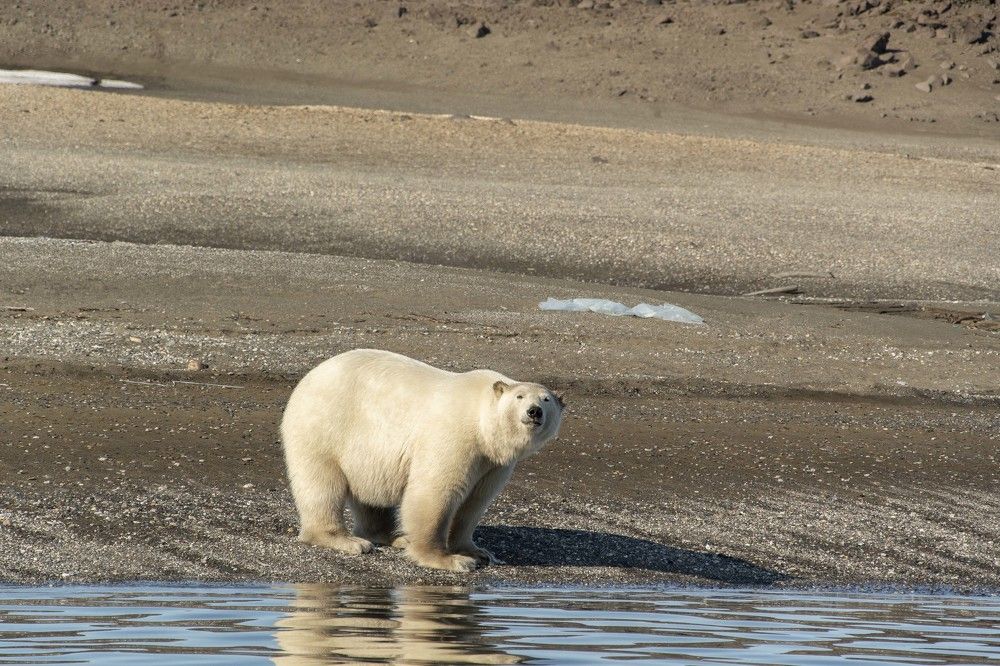 Photograph by Ованес Агарян