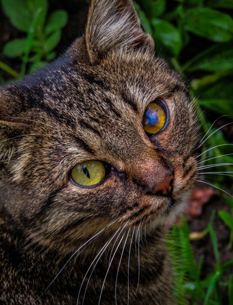 Photograph by Полина Федорченко