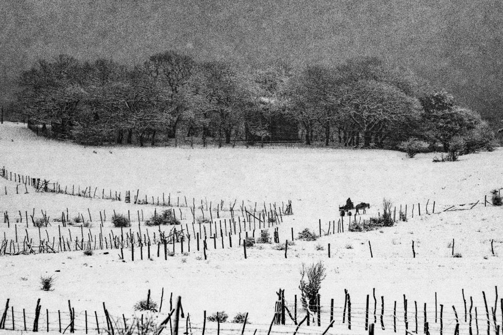 Photograph by Zakaria chelidze