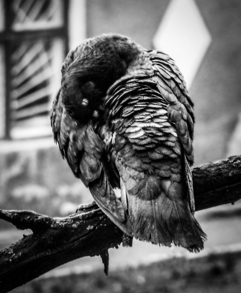Photograph by Полина Федорченко