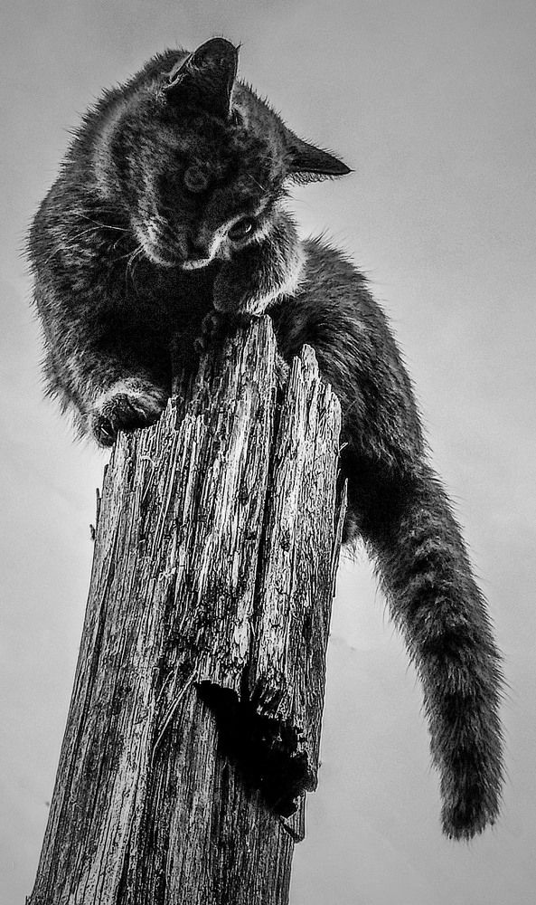 Photograph by Полина Федорченко